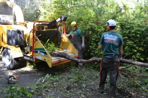 tree services Harrodsburg